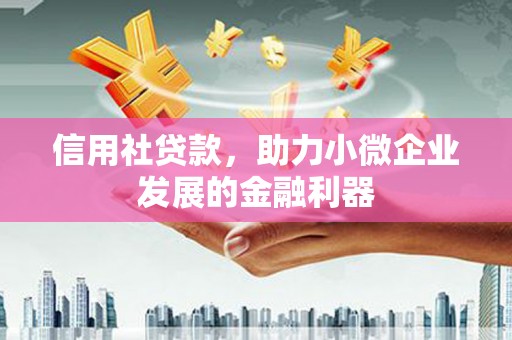 启东信用社贷款，助力小微企业发展的金融利器