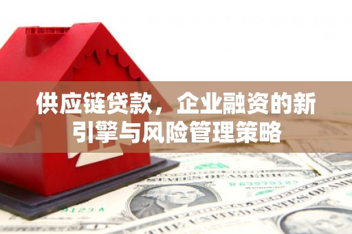 启东供应链贷款，企业融资的新引擎与风险管理策略