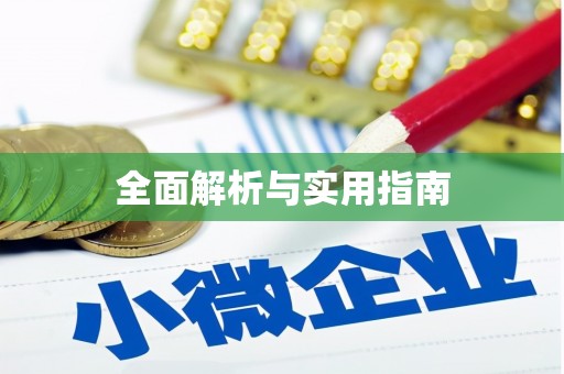 启东全面解析与实用指南