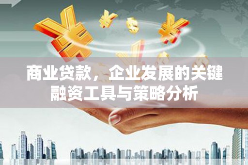 启东商业贷款，企业发展的关键融资工具与策略分析