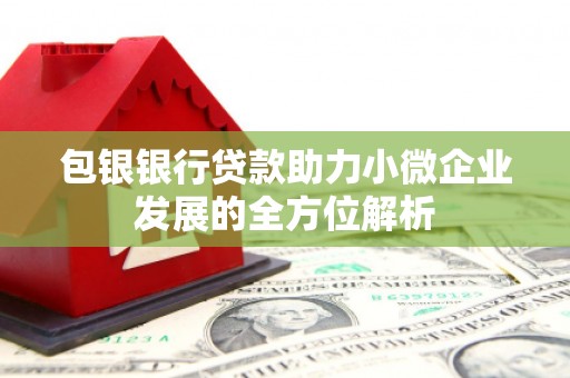 启东包银银行贷款助力小微企业发展的全方位解析
