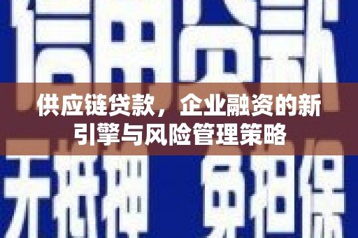 启东供应链贷款，企业融资的新引擎与风险管理策略
