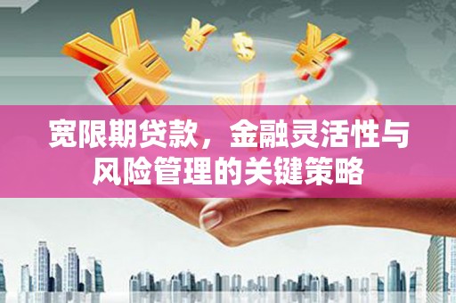 启东宽限期贷款，金融灵活性与风险管理的关键策略