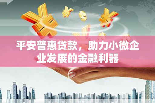 启东平安普惠贷款，助力小微企业发展的金融利器