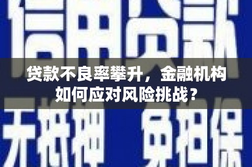 启东贷款不良率攀升，金融机构如何应对风险挑战？