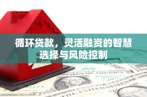 启东循环贷款，灵活融资的智慧选择与风险控制