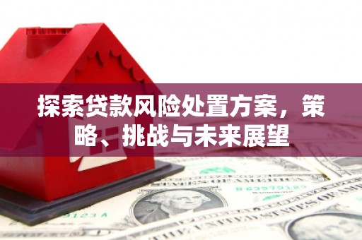 启东探索贷款风险处置方案，策略、挑战与未来展望