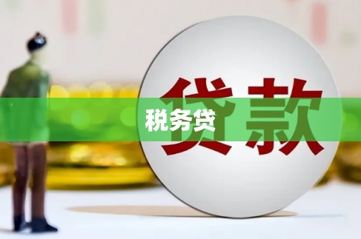 启东税务贷
