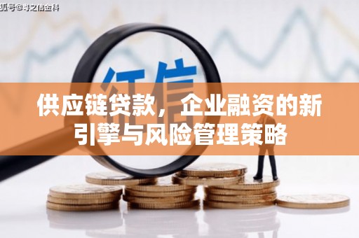启东供应链贷款，企业融资的新引擎与风险管理策略