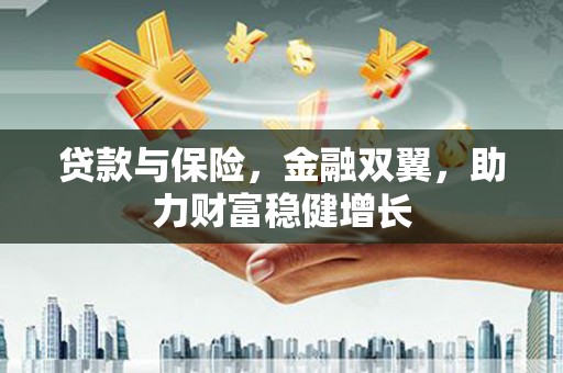 启东贷款与保险，金融双翼，助力财富稳健增长