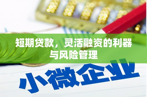 启东短期贷款，灵活融资的利器与风险管理