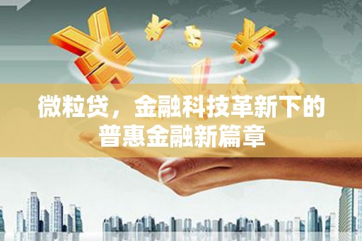 启东微粒贷，金融科技革新下的普惠金融新篇章