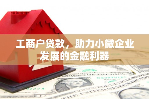 启东工商户贷款，助力小微企业发展的金融利器