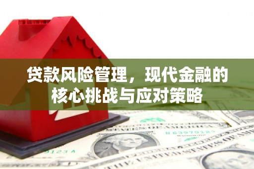 启东贷款风险管理，现代金融的核心挑战与应对策略