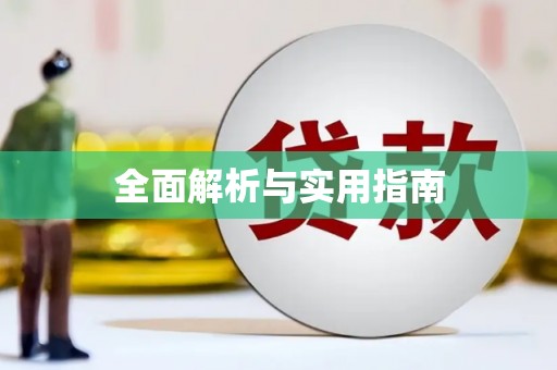 启东全面解析与实用指南