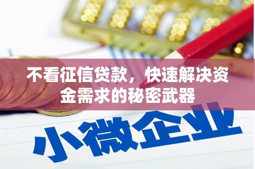 启东不看征信贷款，快速解决资金需求的秘密武器