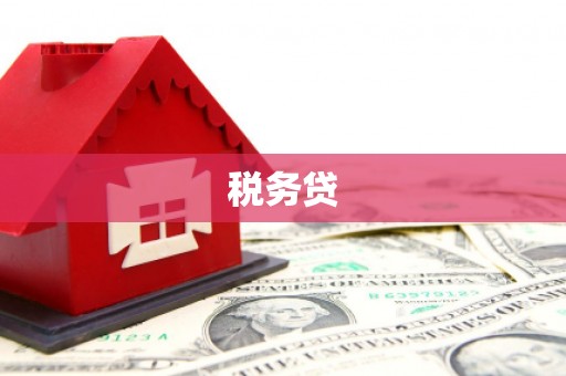 启东税务贷