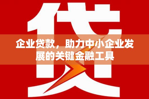 启东企业贷款，助力中小企业发展的关键金融工具