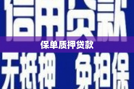 启东保单质押贷款