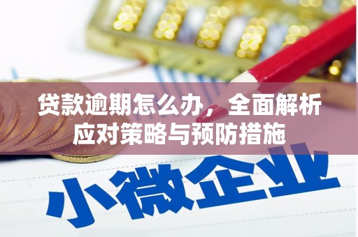 启东贷款逾期怎么办，全面解析应对策略与预防措施