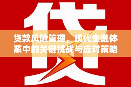 启东贷款风险管理，现代金融体系中的关键挑战与应对策略