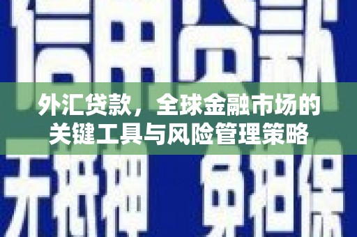 启东外汇贷款，全球金融市场的关键工具与风险管理策略