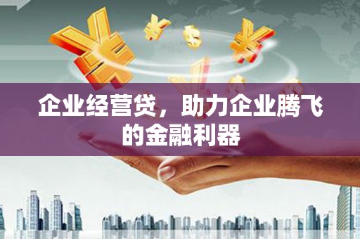 启东企业经营贷，助力企业腾飞的金融利器