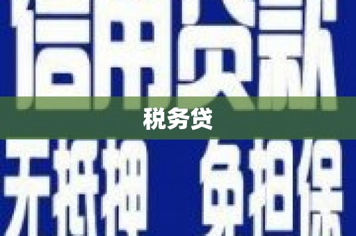 启东税务贷