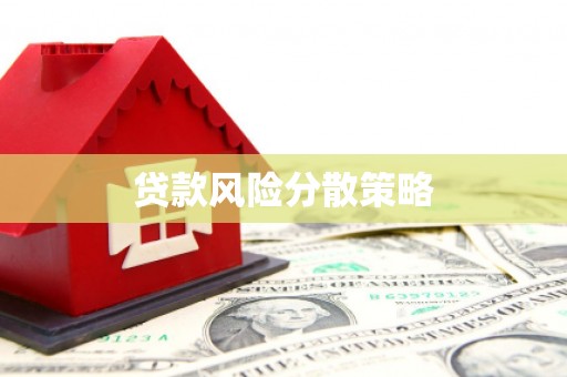 启东贷款风险分散策略