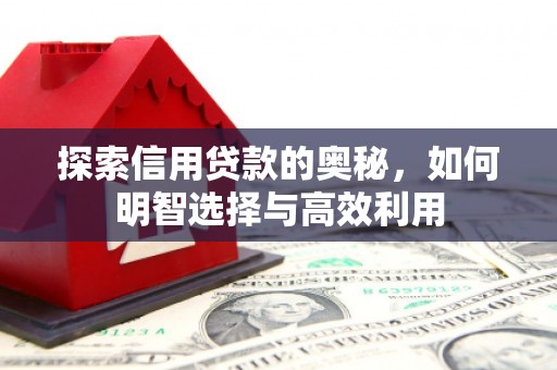 启东探索信用贷款的奥秘，如何明智选择与高效利用