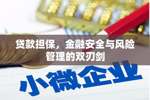 启东贷款担保，金融安全与风险管理的双刃剑