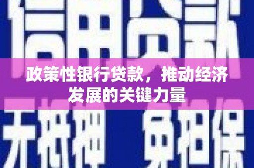 启东政策性银行贷款，推动经济发展的关键力量