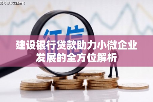 启东建设银行贷款助力小微企业发展的全方位解析