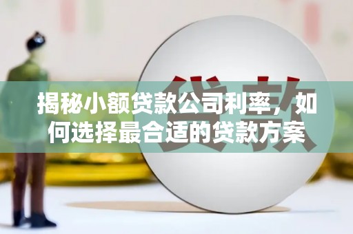 启东揭秘小额贷款公司利率，如何选择最合适的贷款方案