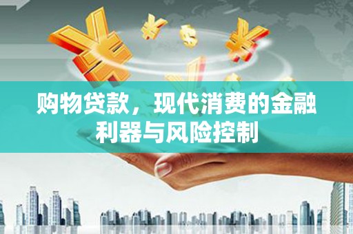 启东购物贷款，现代消费的金融利器与风险控制