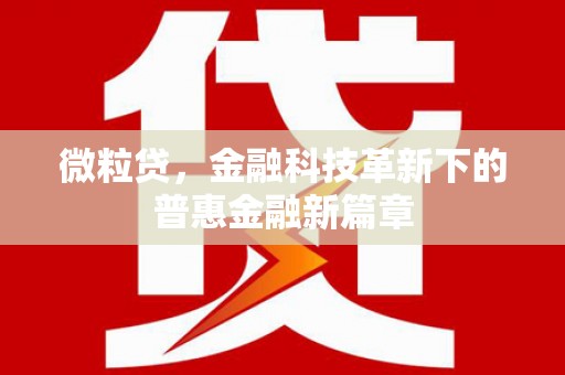 启东微粒贷，金融科技革新下的普惠金融新篇章