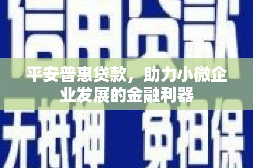 启东平安普惠贷款，助力小微企业发展的金融利器