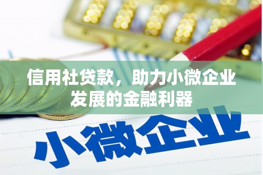 启东信用社贷款，助力小微企业发展的金融利器