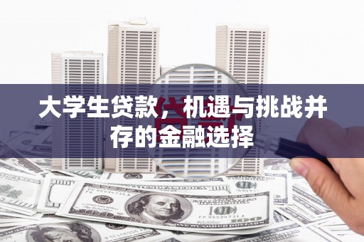 启东大学生贷款，机遇与挑战并存的金融选择