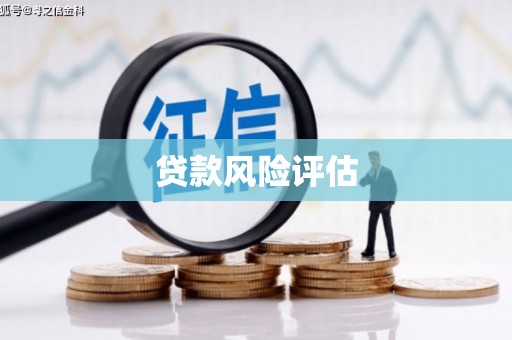 启东贷款风险评估