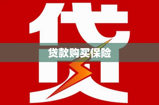 启东贷款购买保险