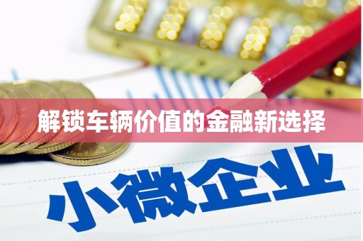 启东解锁车辆价值的金融新选择