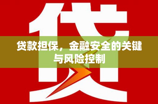 启东贷款担保，金融安全的关键与风险控制