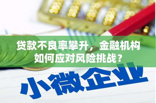 启东贷款不良率攀升，金融机构如何应对风险挑战？