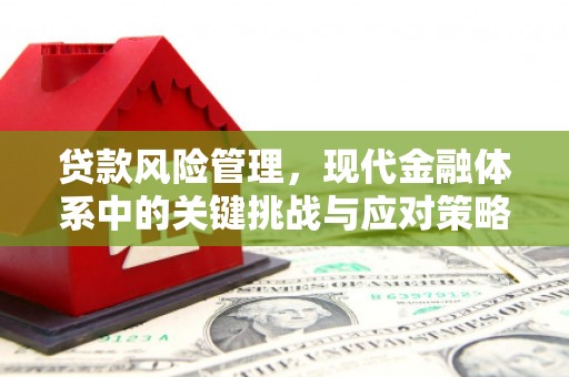 启东贷款风险管理，现代金融体系中的关键挑战与应对策略