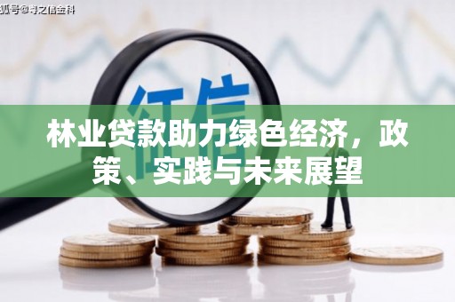 启东林业贷款助力绿色经济，政策、实践与未来展望