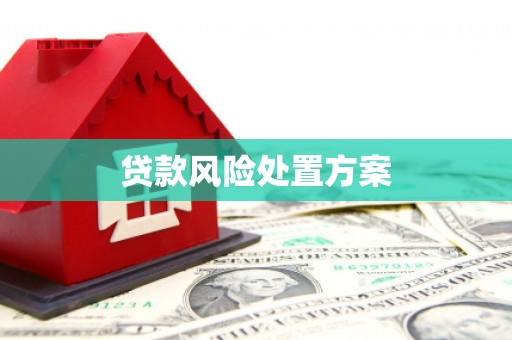 启东贷款风险处置方案