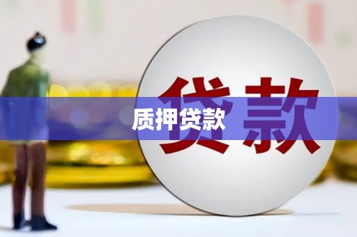 启东质押贷款