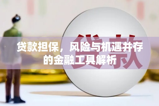 启东贷款担保，风险与机遇并存的金融工具解析