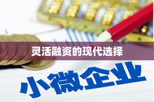 启东灵活融资的现代选择